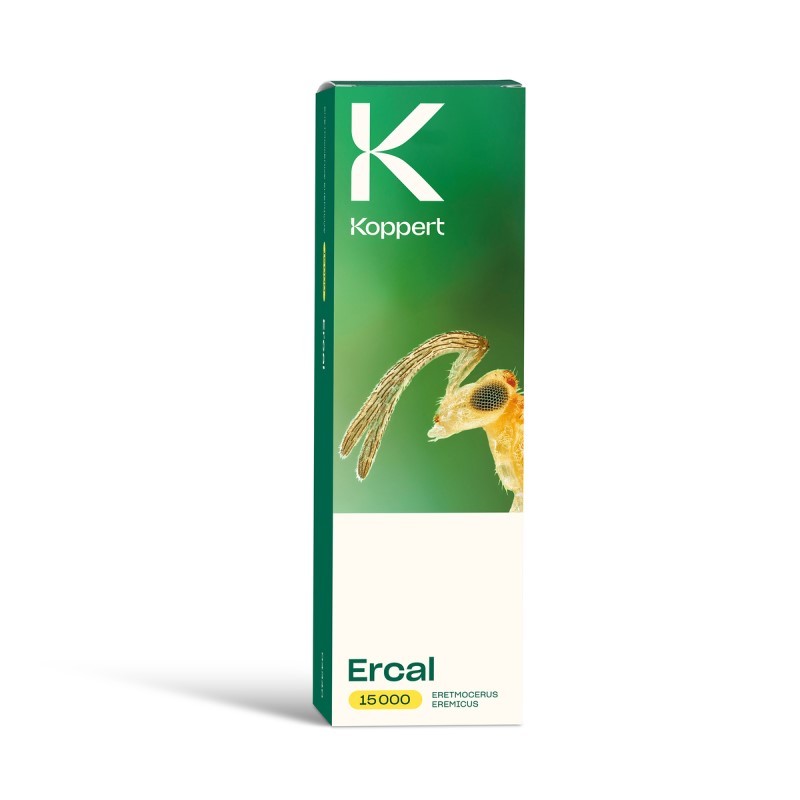 Boite d'Ercal contenant des Eretmocerus eremicus