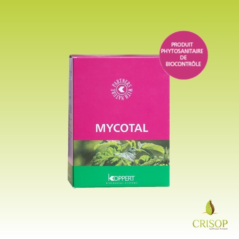 Mycotal - Boîte de 500 g